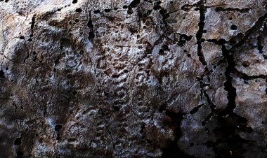 کشف کتیبه تاریخی در مرودشت