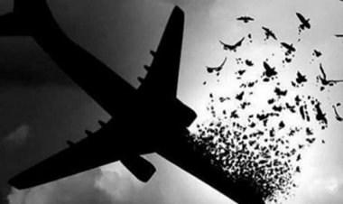 گلباران محل سقوط هواپیمای اوکراینی