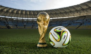 جام جهانی قطر، فرصتی برای رونق گردشگری فارس