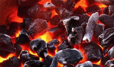 گاز زغال در باشت، جان مرد عشایری را گرفت