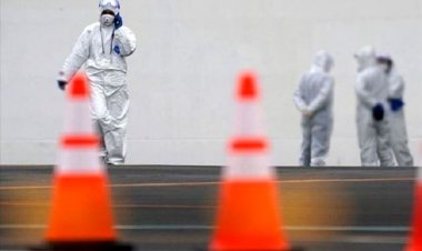 شرط ورود اتباع خارجی به بوشهر