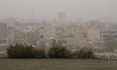 گروه های حساس امروز در خانه بمانند هوای شیراز خوب نیست