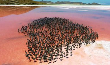 دورنمای احیای تالاب بختگان فارس در شرایط کمبود اعتبار