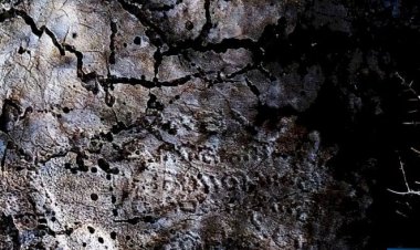 کشف یک کتیبه با نام «زرتشت» در مرودشت