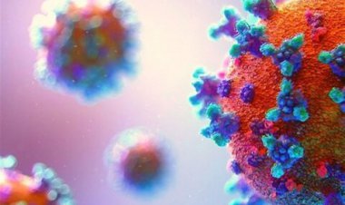 سرعت انتشار اُمیکرون شبیه کبریت زدن به یک جنگل است