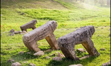 شیر‌های سنگی کازرون در حال نابودی