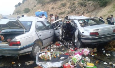 شوتی ها تند نروند؛ ته لنجی در استان  بوشهر آزاد شد