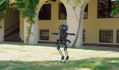 14 ربات پیشرفته با اقدامات پیچیده