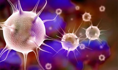 وارد موج جدید کرونا شده‌ایم / ۳ هفته آینده به پیک می‌رسیم