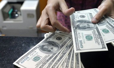 دلار به کانال ۲۵ هزار تومان بازگشت