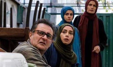 توضیح شبکه یک درباره دلیل سانسور گربهها در سریال «۸۷ متر»