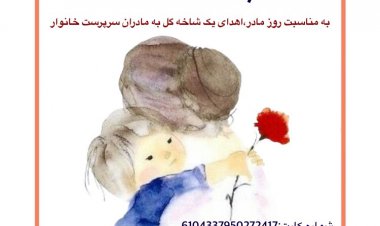 با هدف پاسداشت «مادران سرپرست خانوار»، «کمپین دستان مادر» در شیراز اجرا می شود