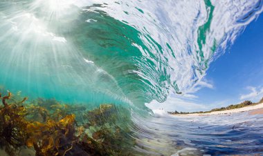 هشدار قرمز هواشناسی بوشهر