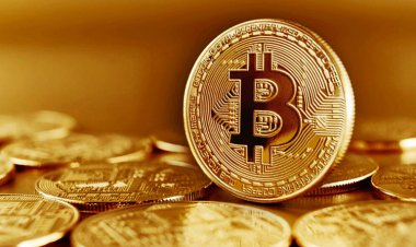 بیت کوین سقوط کرد