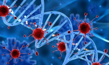 سرطان با رعایت اصول درست زندگی قابل پیشگیری است