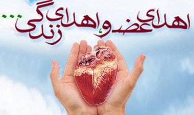 اهدای عضو خردسال‌ترین فرد مرگ مغزی در فارس