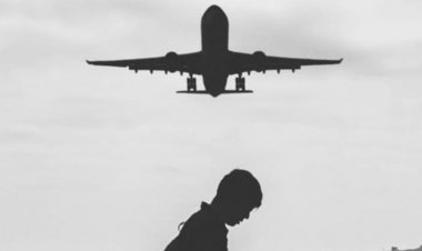 سخنگوی بنیاد ملی نخبگان: آمار منتشرشده از مهاجرت نخبگان کذب است