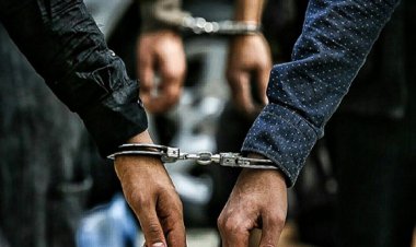 استان بوشهر؛ رکورددار تخلفات اداری