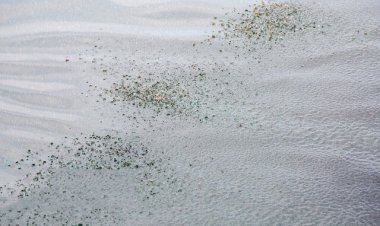 پاک‌سازی لکه‌های نفتی حاشیه خارگ