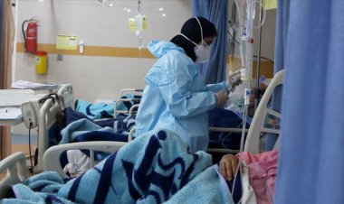 موج اُمیکرون فارس را تهدید می‌کند