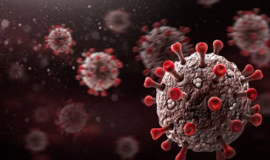 تمهیدات سختگیرانه کرونایی در بندرلنگه