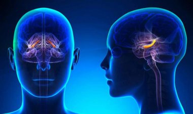 ارتباط بیش فعالی ناحیه‌ای از مغز با یک اختلال روانی