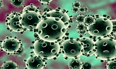 احتمال قرمز شدن وضعیت شیراز