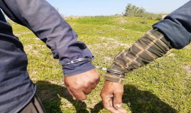 5 سال حبس برای عامل آتش‌سوزی مراتع اقلید