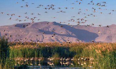برگزاری روز جهانی تالاب ها در فارس/ شیراز ٧ روز آلودگی دارد