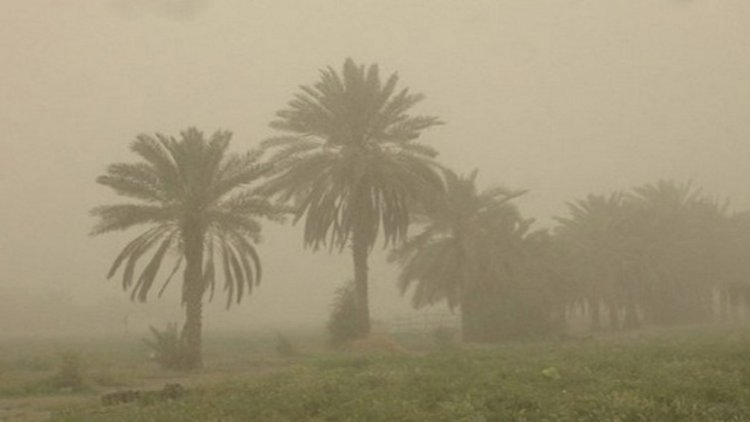 آسمان بوشهر، غبارآلود