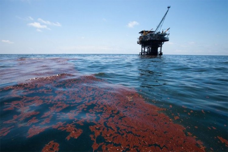 علت نشت آلودگی در خلیج فارس شفاف سازی شود