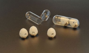 کپسولی که می‌تواند جایگزین واکسن شود!