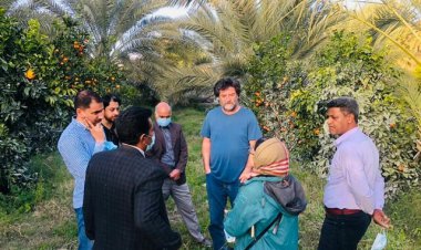 انتخاب خرمای پیارم حاجی آباد بعنوان پایلوت بکارگیری دانش فنی سوئیسی‌ها