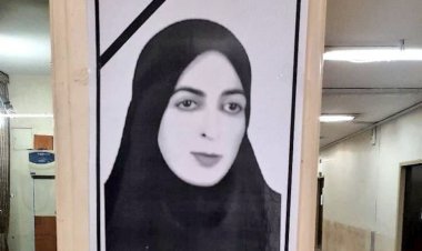 رئیس شورای شهر اهواز: دوستداران سگ‌های ولگرد جوابگوی مرگ استاد دانشگاه باشند