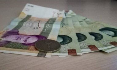 حذف ارز ترجیجی و افزایش یارانه ۸۰۰ هزار تومانی به کجا رسید؟