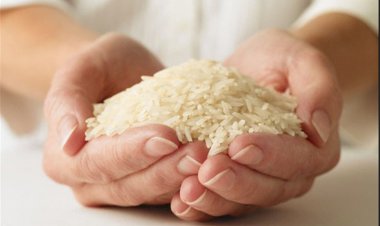 قول مقام وزارت جهاد درباره برنج