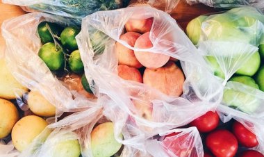 استفاده از کیسه‌های پلاستیکی در میادین میوه‌وتره‌بار ممنوع می‌شود