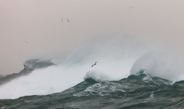 شرایط نامساعد جوی اسکله‌های قشم را تعطیل کرد
