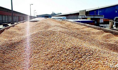 دپو محموله سنگین سویا در بندر