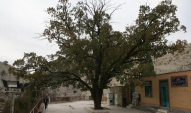 ثبت چهار اثر میراث طبیعی خوزستان در فهرست واجد ارزش ملی