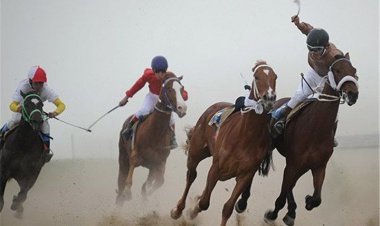 ۲ عنوان کشوری برای سوارکاران کهگیلویه و بویراحمد