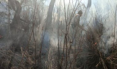 مهار حریق در اراضی جنگلی و علف‌زارهای پارک ملی کرخه