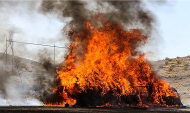 ۱۸ تن مواد مخدر در شیراز امحاء شد