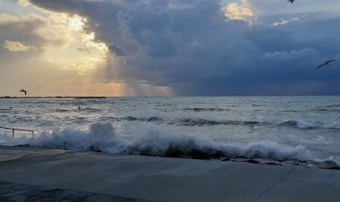 باد و باران در انتظار بوشهر