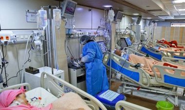 ۳ عامل مهم افزایش موارد بستری کرونا در استان فارس