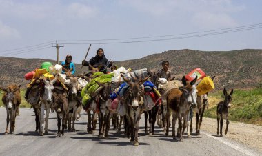 الزامی بودن کارت تردد دام هنگام کوچ عشایر