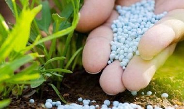 کشف کارگاه تولید سموم تقلبی در مرودشت