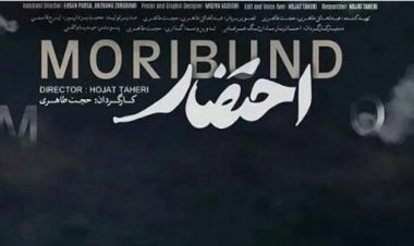 کارگردان اهل استان فارس برنده سیمرغ بلورین چهلمین جشنواره فیلم فجر شد