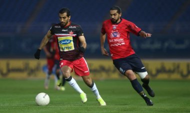 تعقیب و گریز سرخابی ها