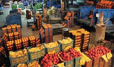 توزیع میوه شب عید ۲۵ درصد زیر قیمت بازار